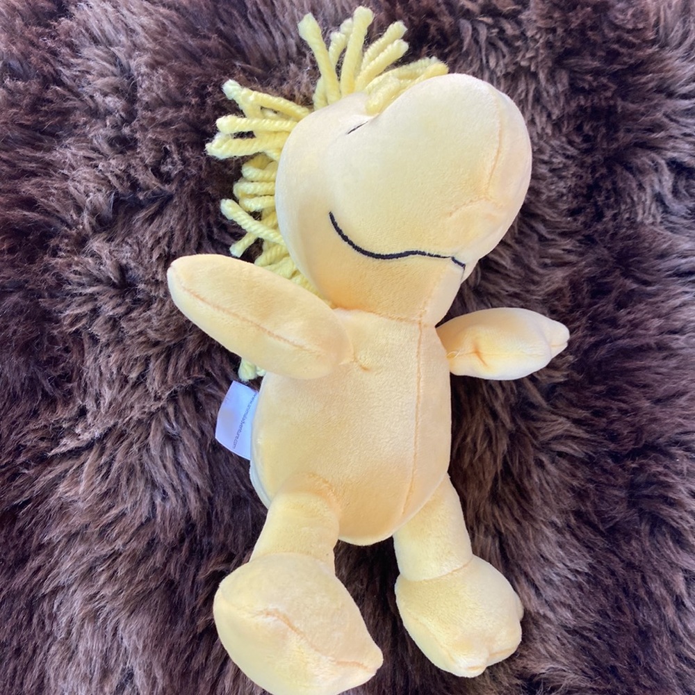 Peanuts - Picture 8 of 11